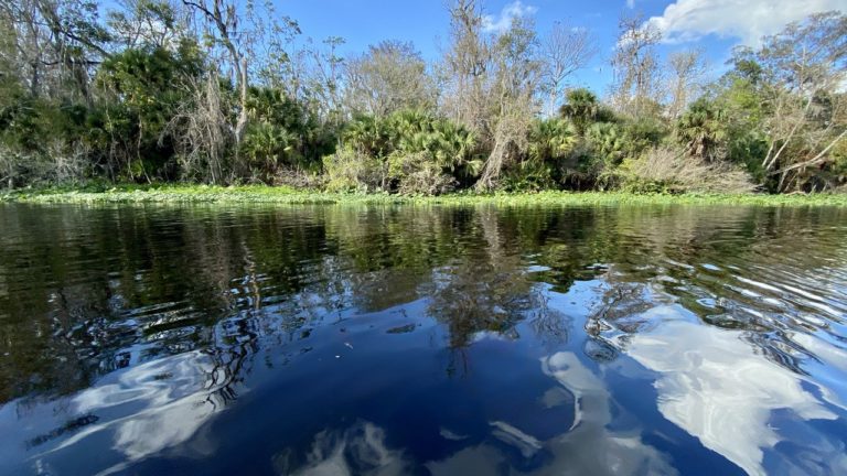 Best Reasons to Visit Wekiva Island