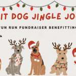 Join the Fit Dog Jingle Jog Fundraiser in Orlando: A Fun Run Benefiting First Responders