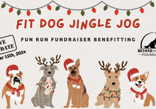 Join the Fit Dog Jingle Jog Fundraiser in Orlando: A Fun Run Benefiting First Responders