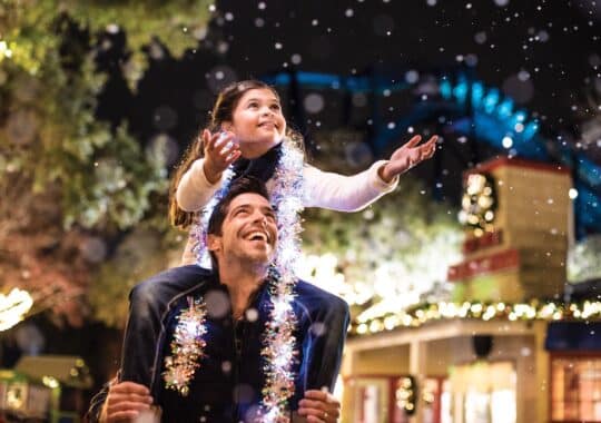 Celebrate New Year’s Eve 2025 in Spectacular Style at SeaWorld Orlando